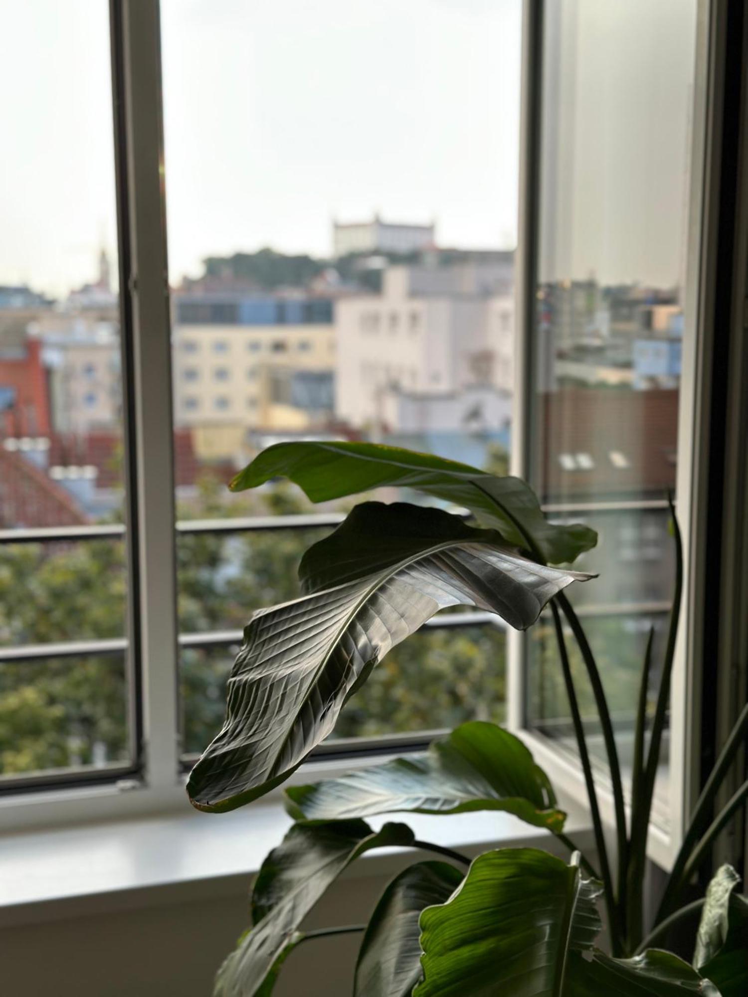 شقة Urban Zenhouse No.2 - Breakfast Included براتسيلافا المظهر الخارجي الصورة